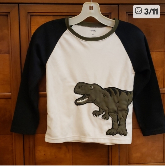 Carter's - Dinosaur Kids Long Sleeve Pullover - Cream and Gray SZ 6&4 - Picture 1 of 10